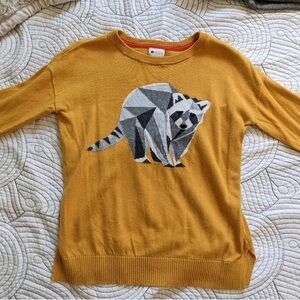 Raccoon Sweater